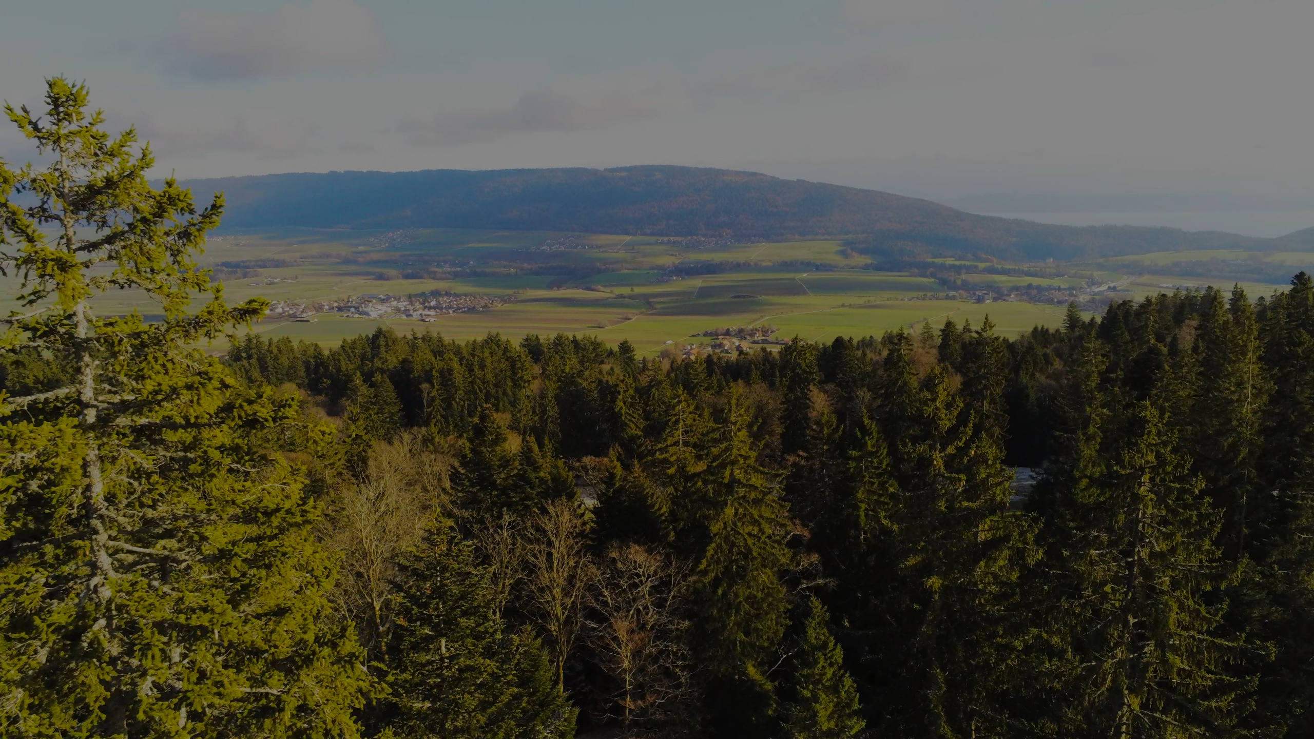 Kobalade Showcase - Image 2